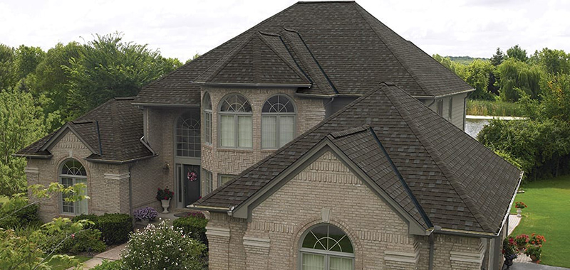 Dynasty Architectural Roofing Shingles